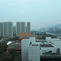 客室からの景色