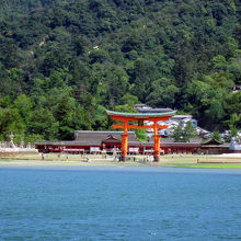 フェリーから見る厳島神社。