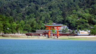 二社あるので注意が必要。