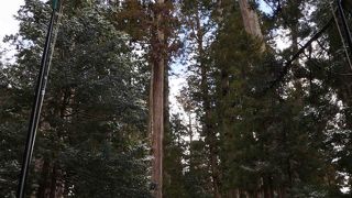 お礼参り　高野山奥の院