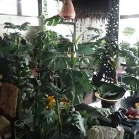 ホテルの受付です。