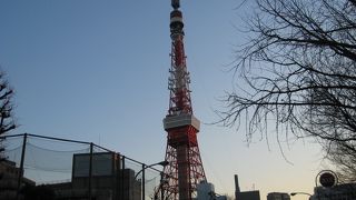 東京タワーの絶景は、いつまでも