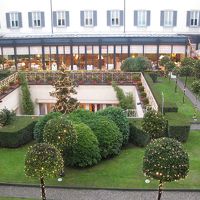 中庭にクリスマスツリー！