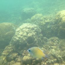 海は暖かかったー