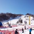 わが子のスキーデビューなら、かわいいミッフィーが待っている『かたしな高原スキー場』へ