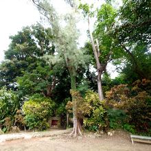 この下の小さな門のようなところ