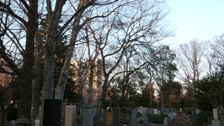 夏目漱石や竹久夢二が眠る場所