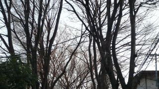 鬼子母神堂へ向かう参道