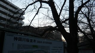 桜の季節に行ってみたい