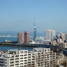 境内より百道方面を望む