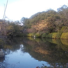 こんな感じの風景が広がっています