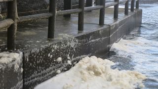 冬の日本海。フワモコの波の花は、風にポポポーっと舞い上がる！