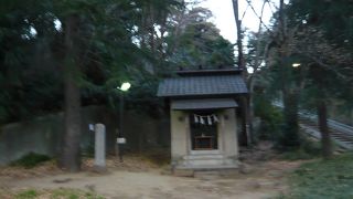 猫がいる水の神様