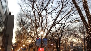 金に輝くがもう一ひねり欲しいかな