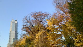 動物とふれあえる公園