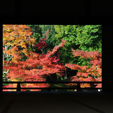 紅葉の季節が美しい。