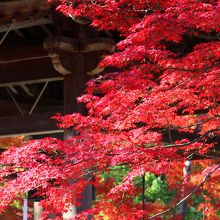 唐門手前の風景。