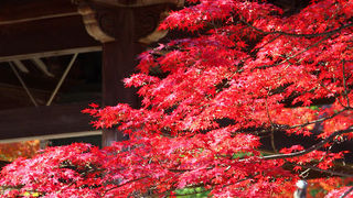 鹿苑寺への入り口。