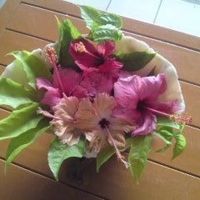 枯れ始めているお花？！