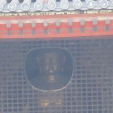 外から見た大仏