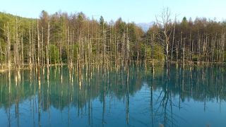 見に行く価値あり！！！