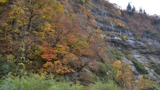 渓谷の景色は車に乗ったまま楽しむことが出来ます。