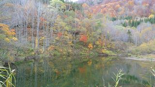 駐車場が最後の日には遅すぎでした。