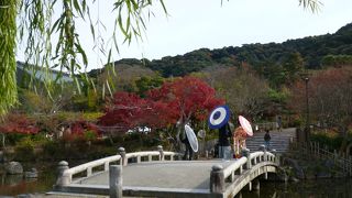 ここはやはり「桜」！
