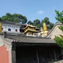 金色に輝く顕通寺の境内