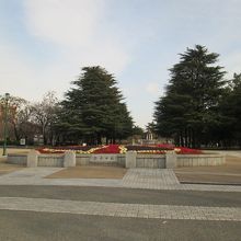 冬にお花が。。