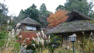 混雑の中におちつきがあります