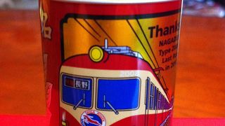 成田エクスプレスの車両に会えます