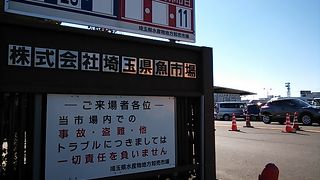 埼玉県の魚市場