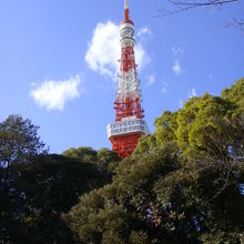 ここからも東京タワーが見えます
