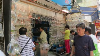 眺めているだけで楽しい