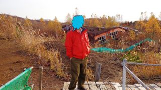 頑張って歩いてみましょう