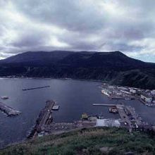 ペシ岬から見た鴛泊港