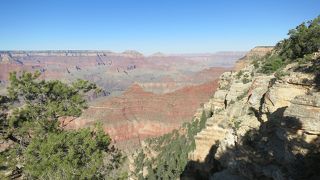 見どころが沢山！