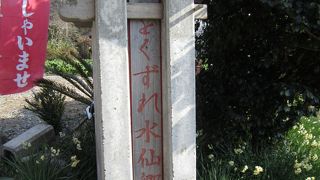 一度は訪れてほしい水仙の郷