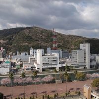 桜並木を見おろす