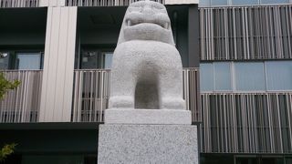 神楽坂を散歩していて風変わりな狛犬に出会った。