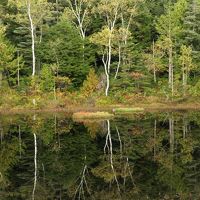 散策プログラムで