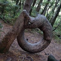 散策プログラムで