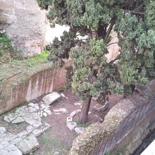 ガイドさんはこの辺りがカエサルの暗殺現場だと言っていたと思う