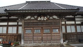 春に塀を越えて咲くシダレ桜が美しいようです