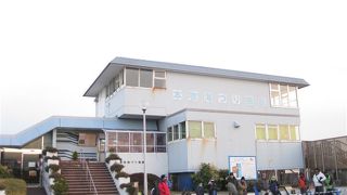 公園近くの海釣り施設へ