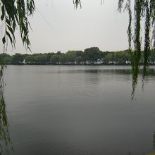 岸部の柳と西湖を臨む