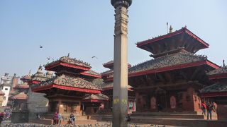 すごい数の鳩！！