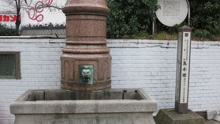 柵があり近づけません