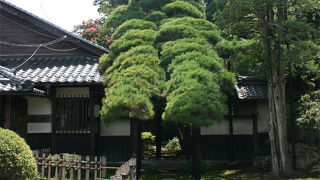 雰囲気の良いところです